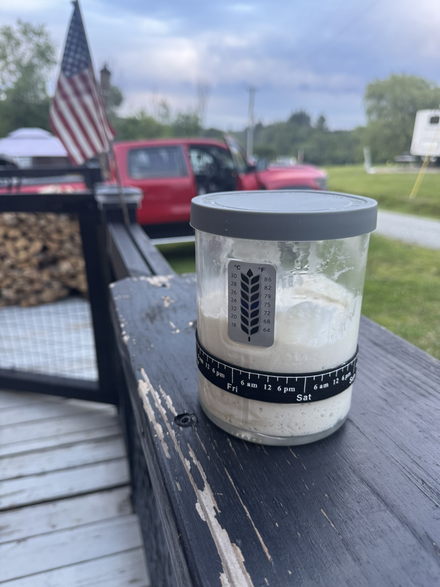 Meet Celaena SarDOUGHthian – My sourdough starter and muse